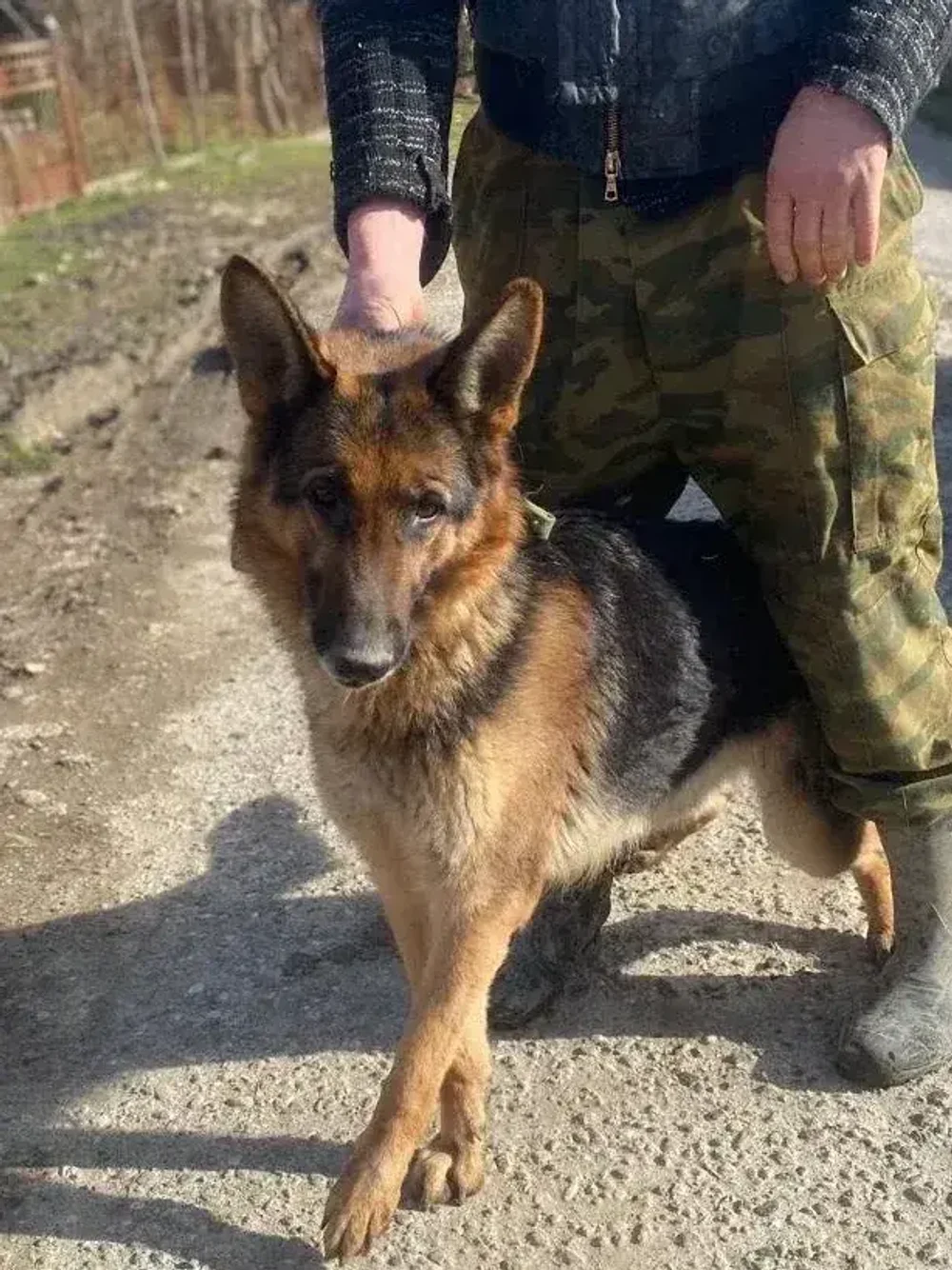 Джета